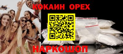 крисы Краснознаменск