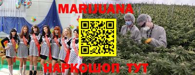 крисы Краснознаменск