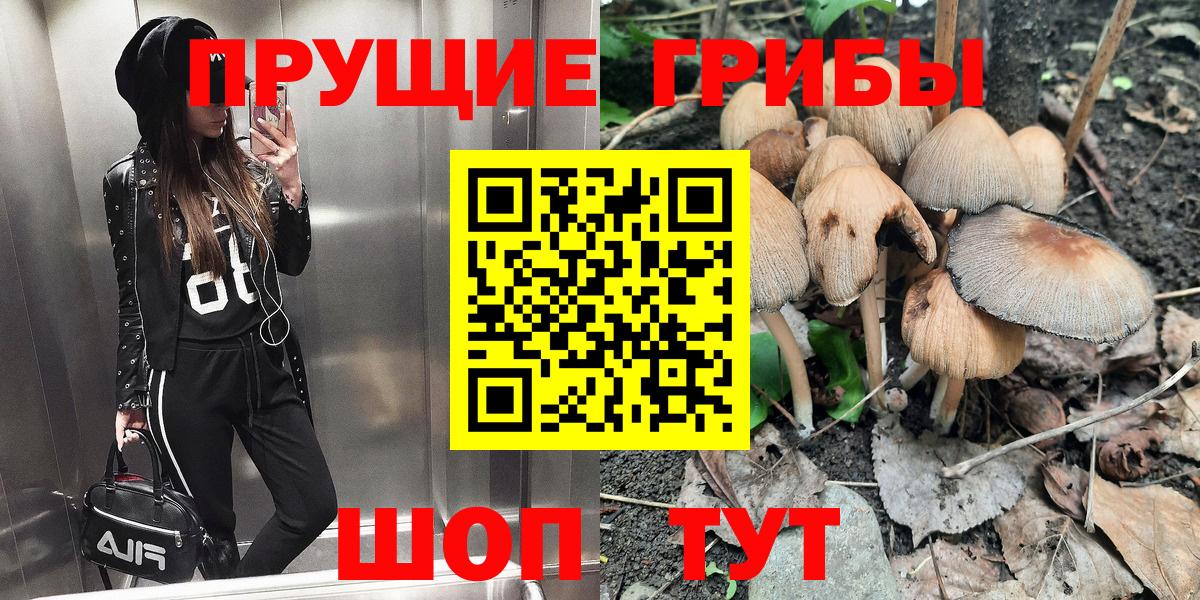 Галлюциногенные грибы GOLDEN TEACHER Карпинск