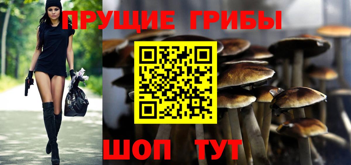ТГК Карпинск